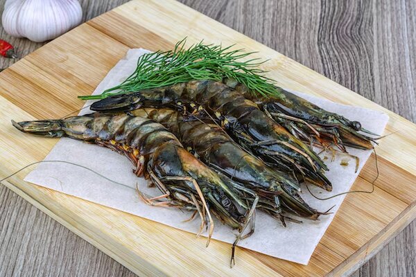Các cách bảo quản tôm tươi trong tủ lạnh